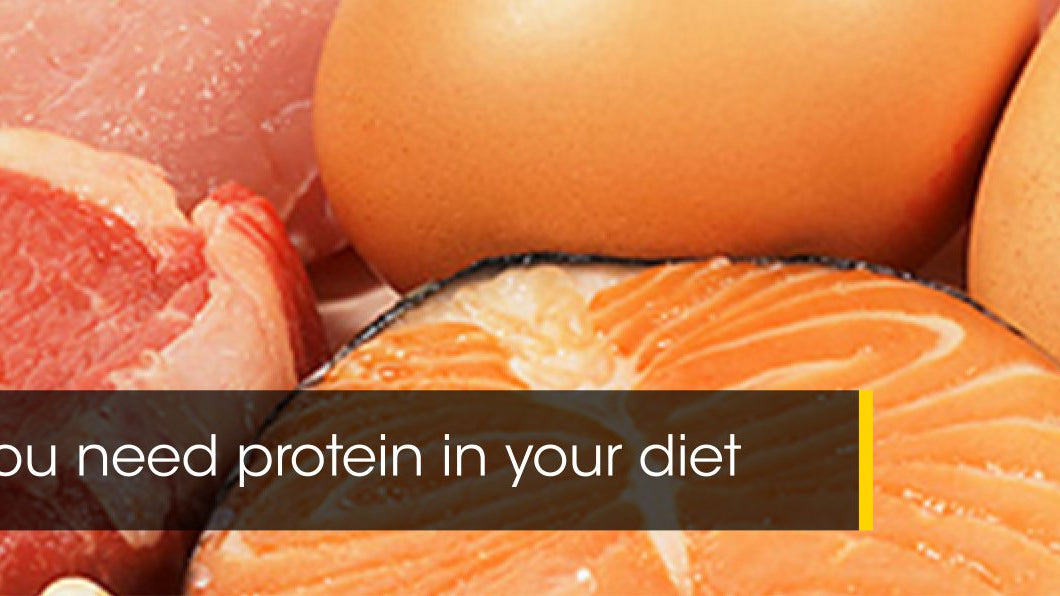 Why you need Protein in your diet
