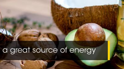 Fat – one hell of a fuel source